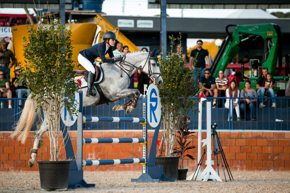 prova salto hipismo final