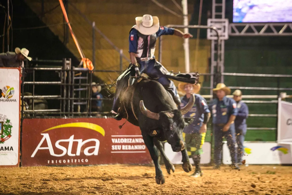 A feira vai promover cinco dias de montarias em touros e cavalos