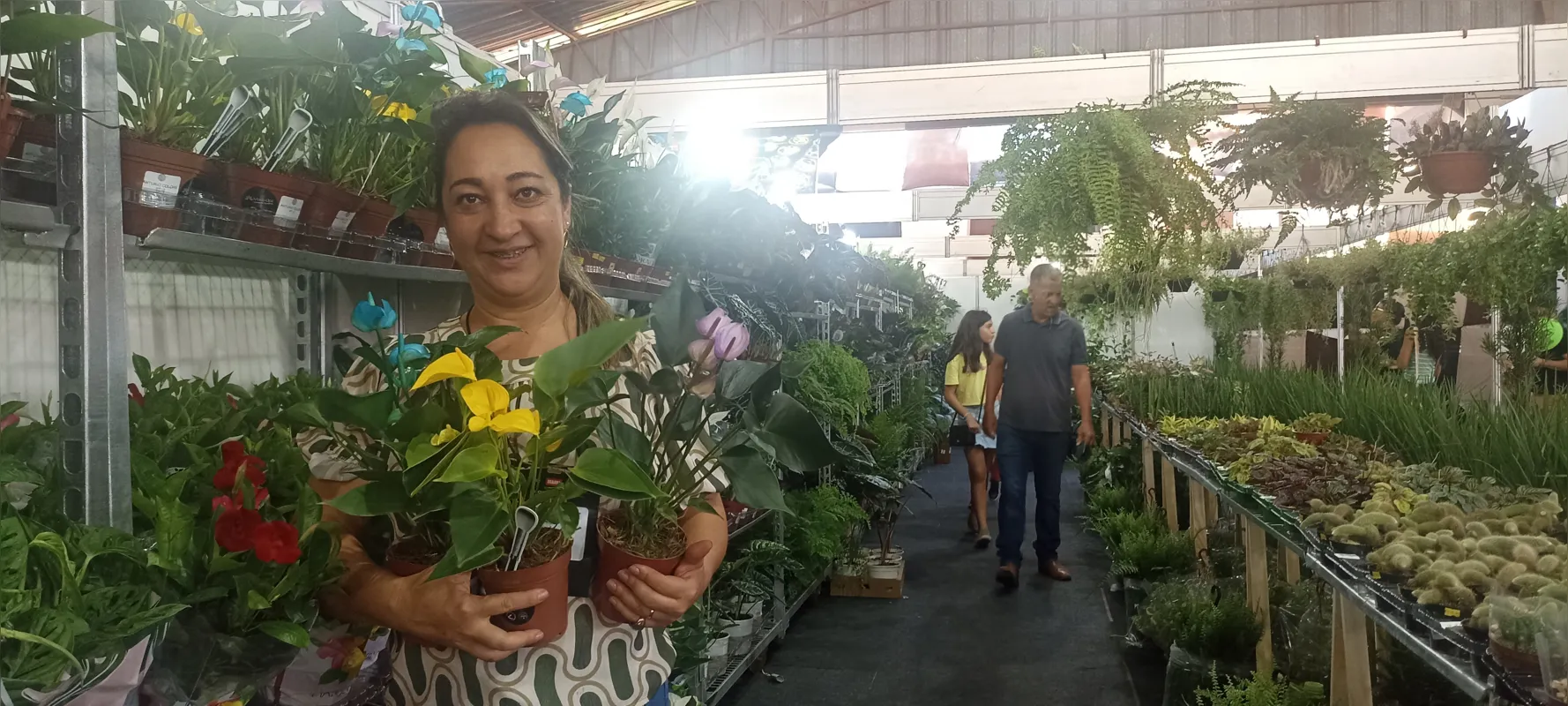 Jocelaine Ribeiro Mendonça e os antúrios coloridos: variedades diferentes enchem os olhos