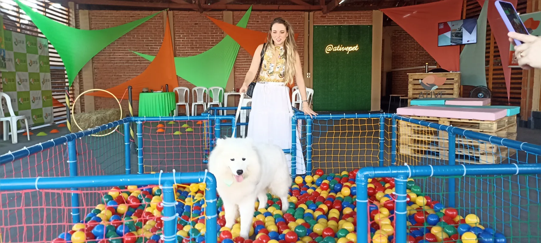 O cachorro Snow, de Isabela Rebello, se diverte na piscina de bolinhas na 1ª Expo Pet
