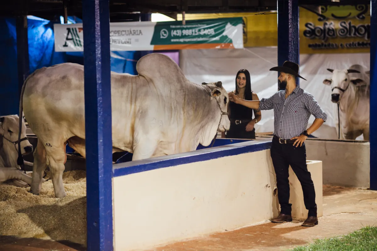 PARQUE NOTURNO