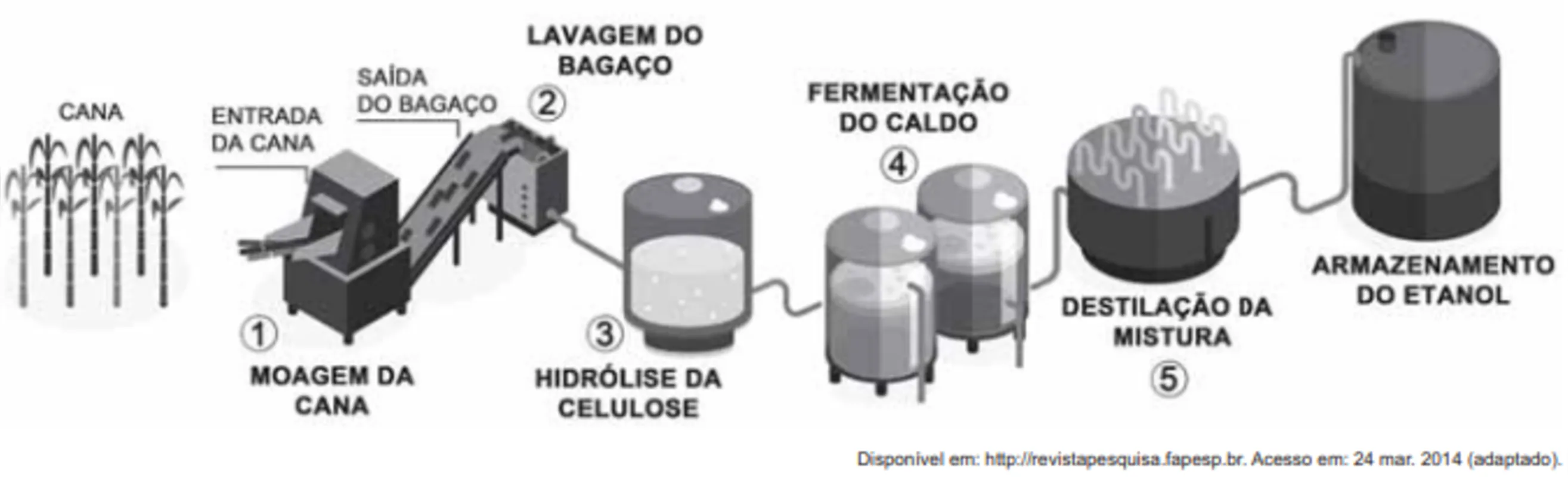 Imagem ilustrativa da imagem FOLHA ENEM 2023/ CADERNO 11 - 9 de outubro