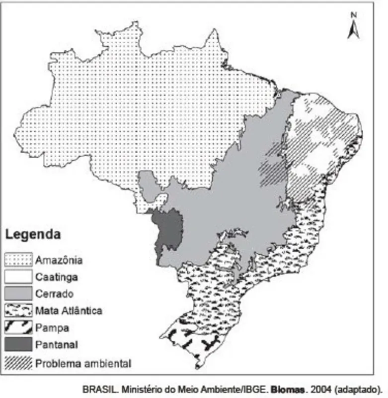 Imagem ilustrativa da imagem FOLHA ENEM 2023: Caderno 15  - Ciências Humanas e suas Tecnologias