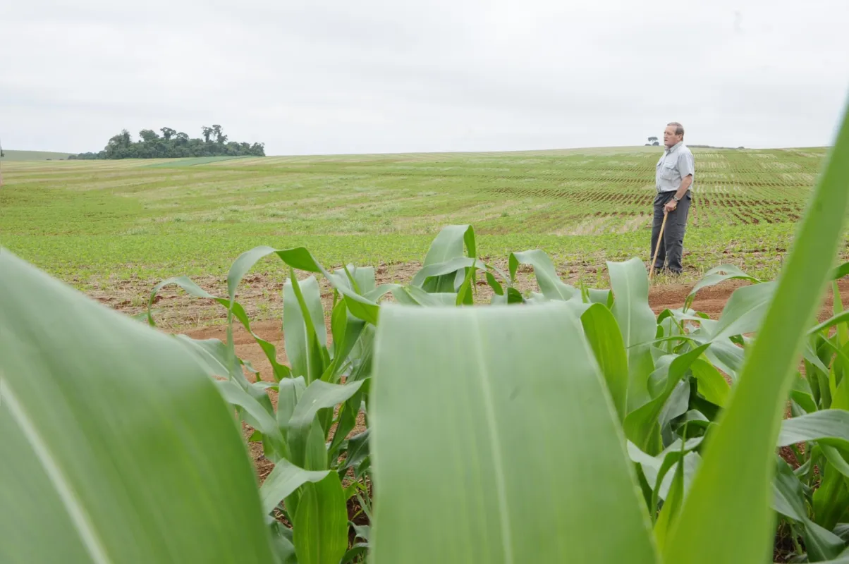 Herbert Bartz, na fazenda Rhenânia. Pioneiro do Sistema Plantio Direto, que morreu em 2021, será homenageado nesta segunda-feira (23), no pátio do Museu Municipal de Rolândia.