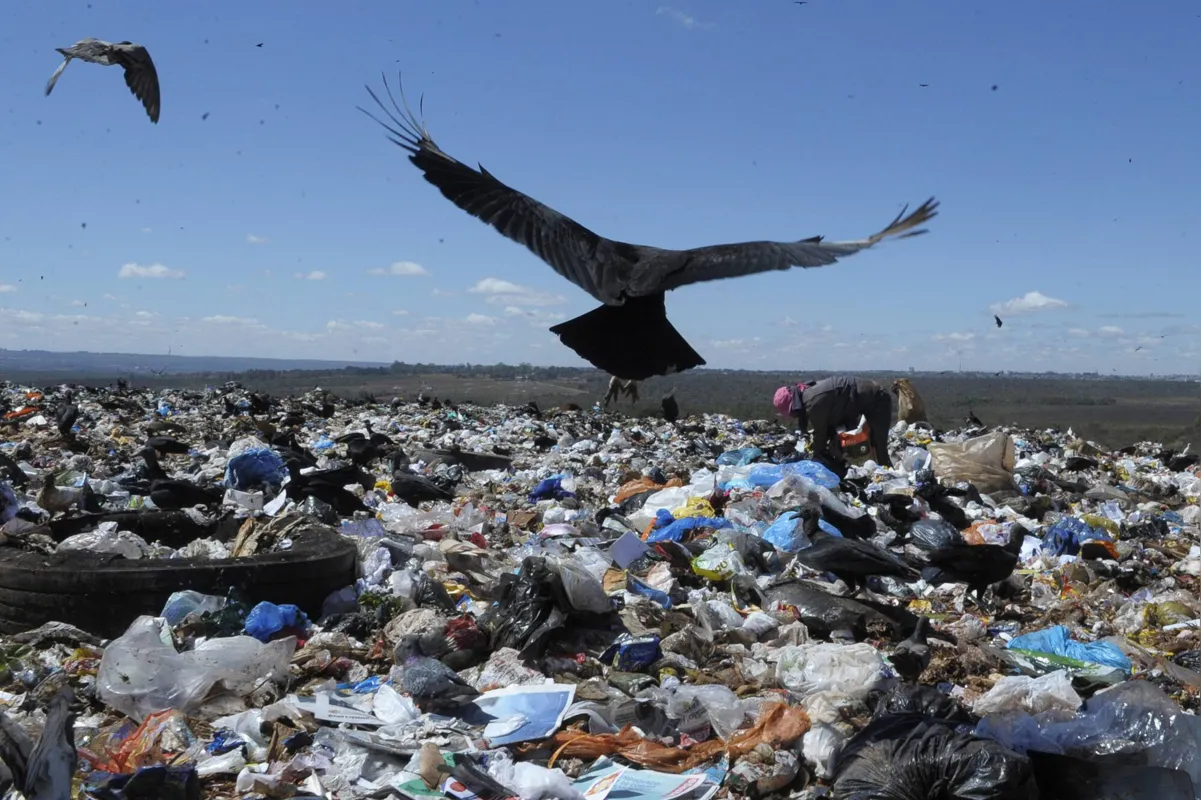 Imagem ilustrativa da imagem Iniciativa vai financiar proposta de reportagem sobre o futuro do lixo
