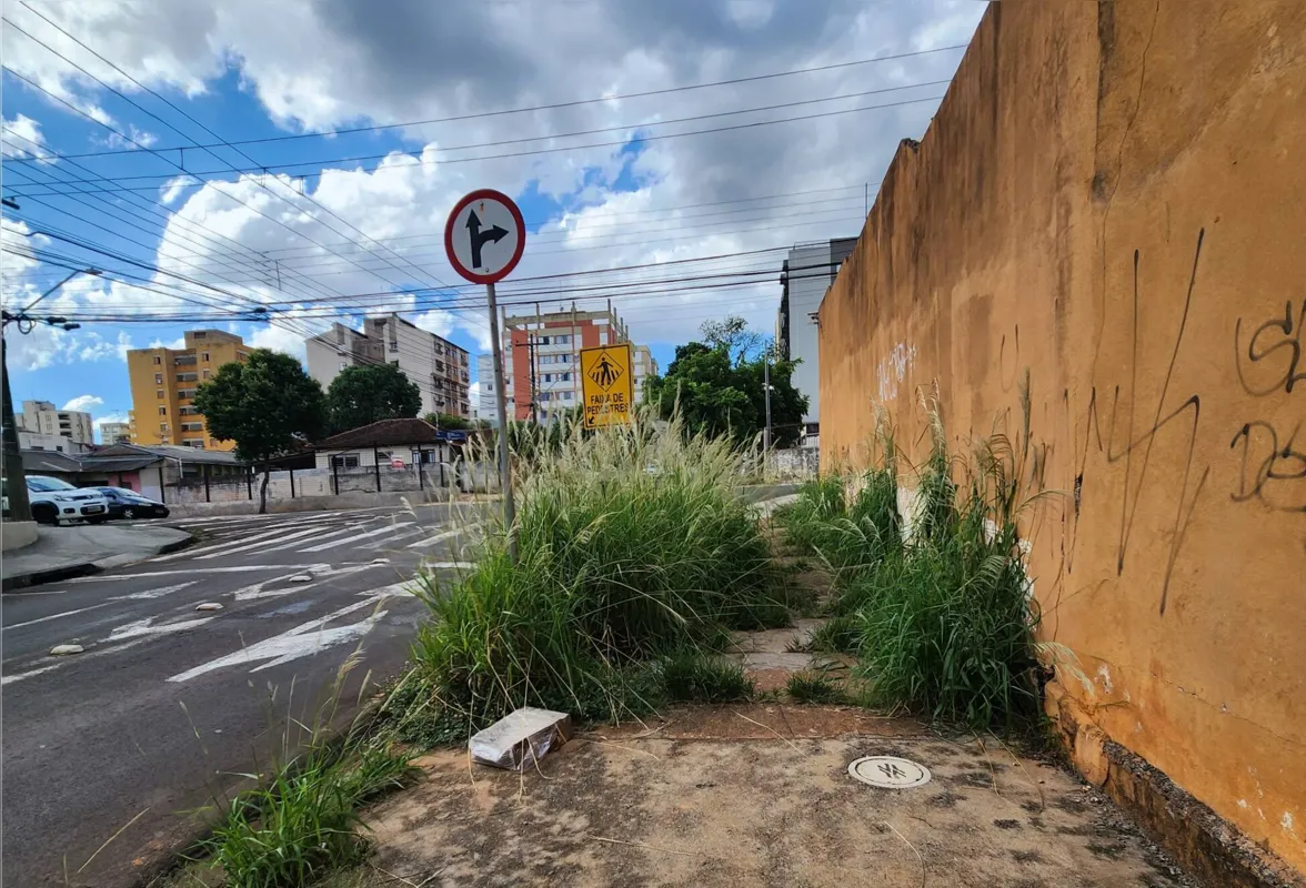 Mato alto e sujeira na Rua Brasil