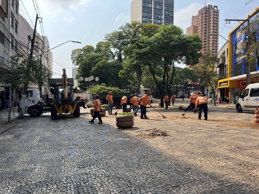 No Calçadão, árvore que caiu retirada pela prefeitura na manhã desta quinta