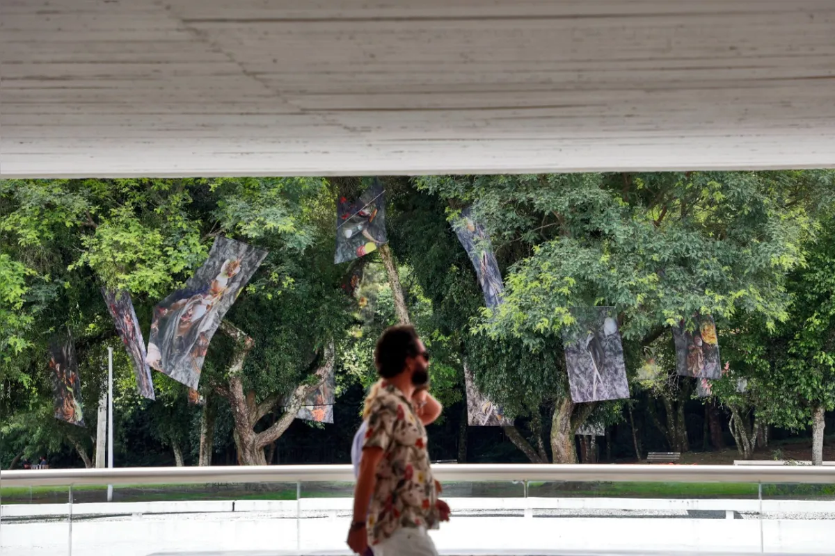 "MON Sem Paredes": obra  Ao Redor de uma Árvore, de Gustavo Utrabo