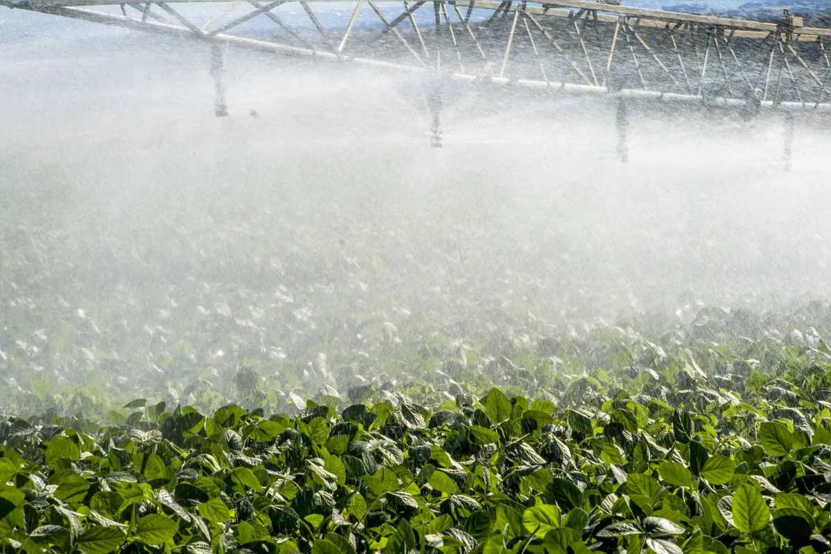 Especialista alerta para a necessidade, no futuro, de ampliar a irrigação nas propriedades rurais paranaenses