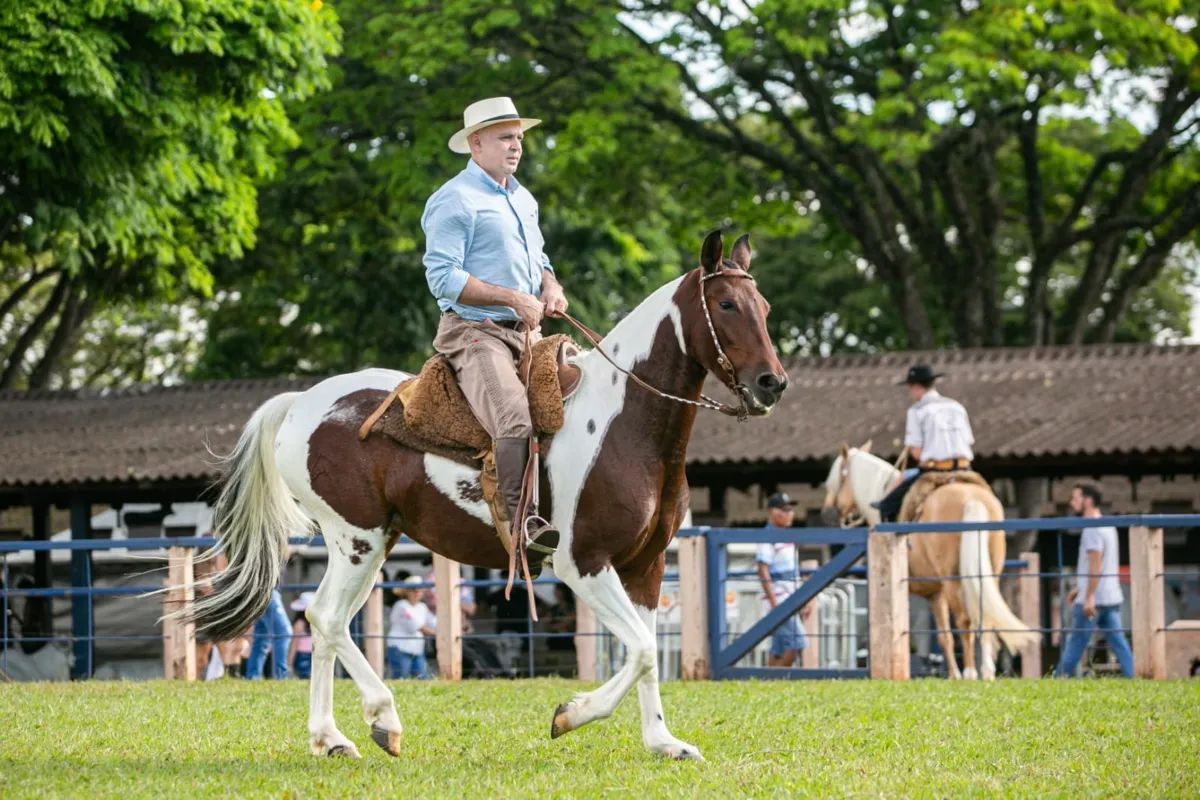Elizandro Pellin, é pioneiro na criação da raça e tem 30 exemplares do cavalo campeiro