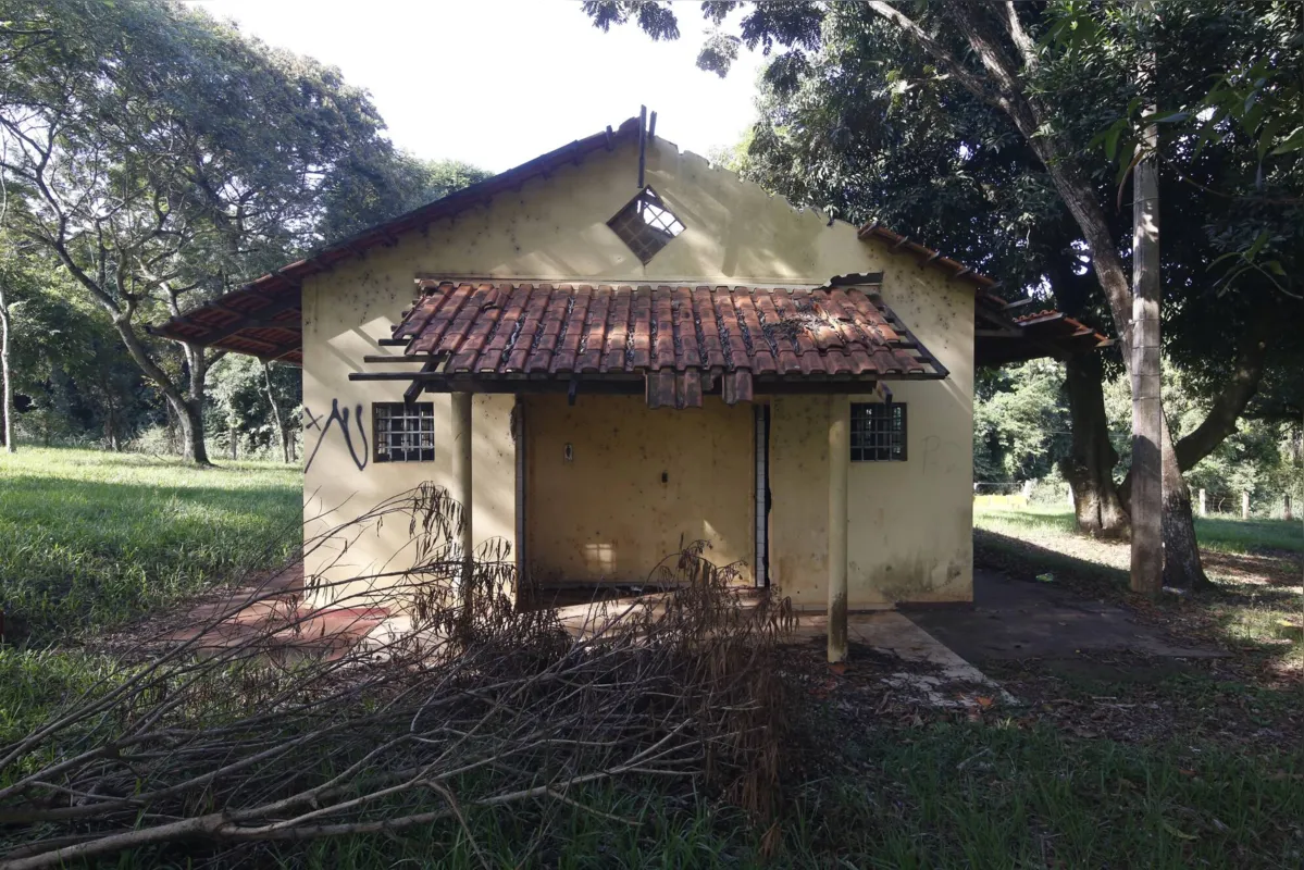 Imagem ilustrativa da imagem Parques de Londrina enfrentam situação de abandono