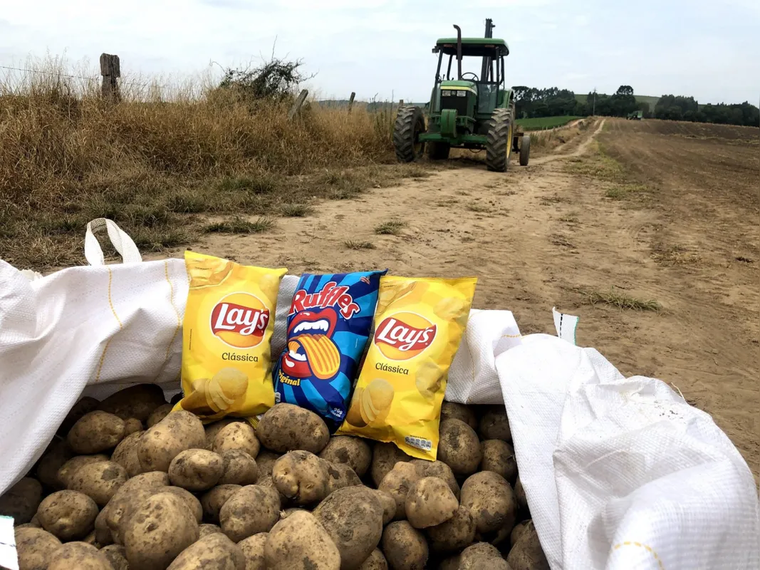 Imagem ilustrativa da imagem PepsiCo reduz uso de água em 14% nas suas fábricas de alimentos do Brasil
