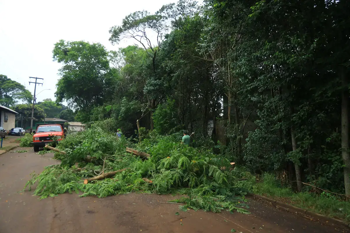 Imagem ilustrativa da imagem Prefeitura inicia readequação ambiental no Córrego Penso