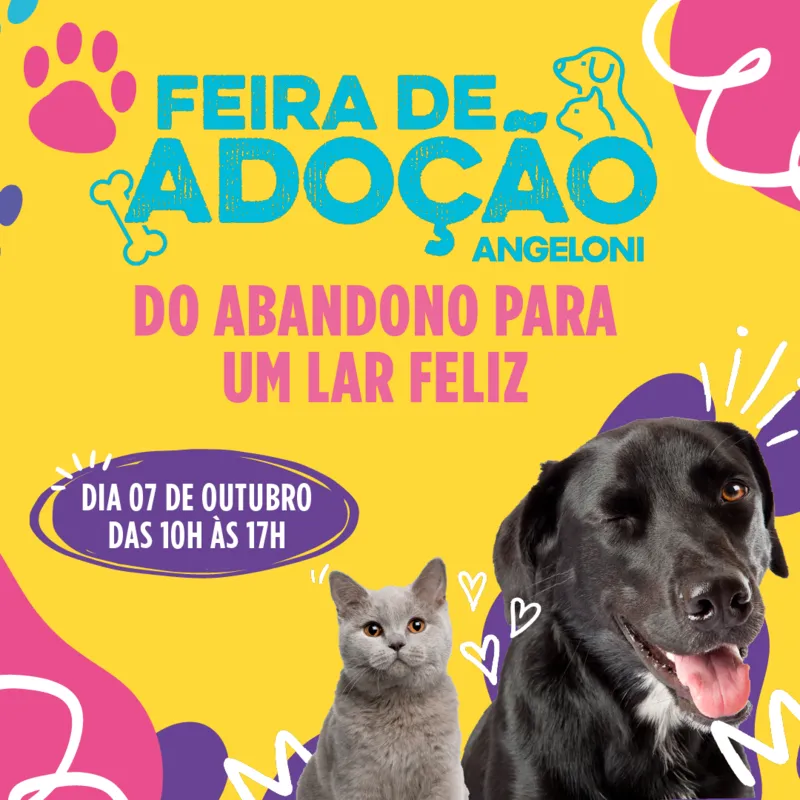 Imagem ilustrativa da imagem Sábado tem feira de adoção de pets em Londrina