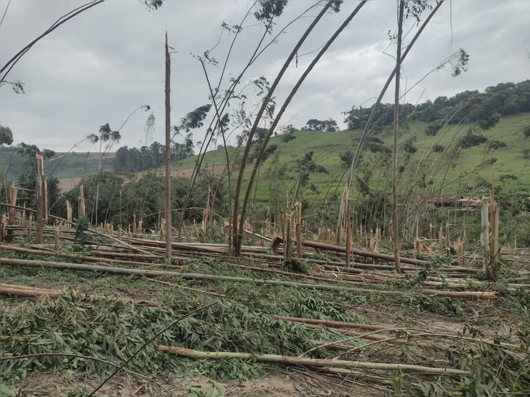 Imagem ilustrativa da imagem Tornado deixa rastro de destruição no Norte Pioneiro