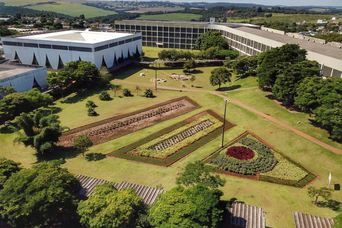 Imagem ilustrativa da imagem UEPG e Unioeste vão contratar docentes e técnicos em regime temporário