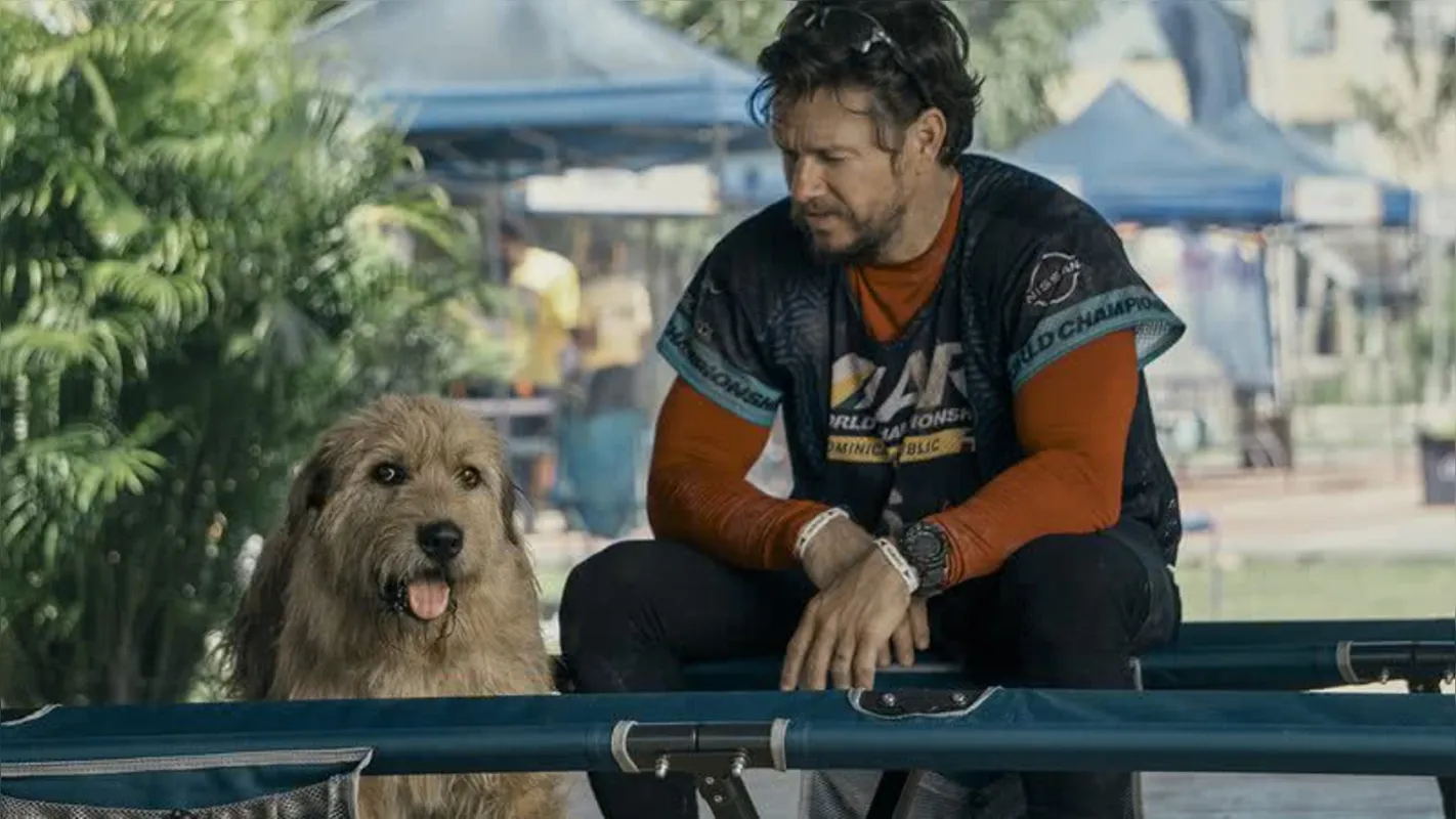 Imagem ilustrativa da imagem Uma prova de coragem: história real emociona com carisma canino