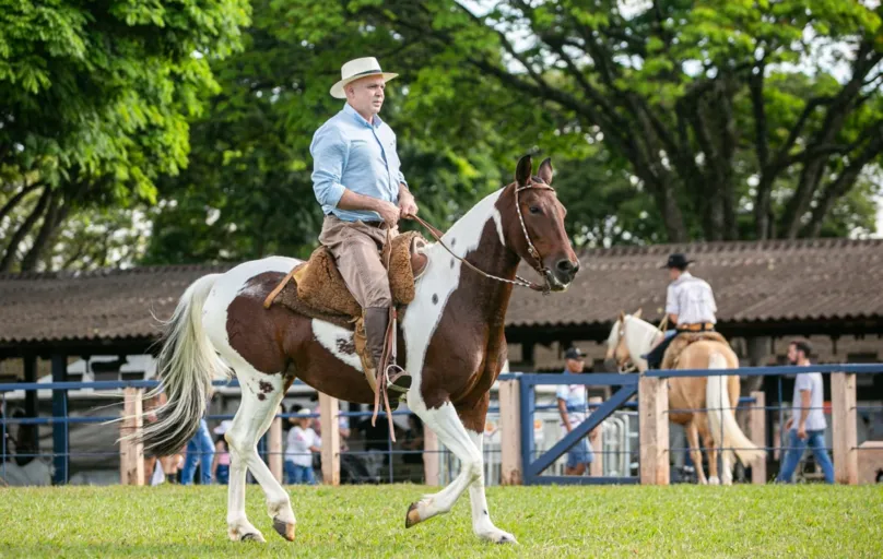 Elizandro Pellin, é pioneiro na criação da raça e tem 30 exemplares do cavalo campeiro