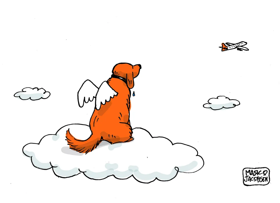 Imagem ilustrativa da imagem Charge 26/04/2024