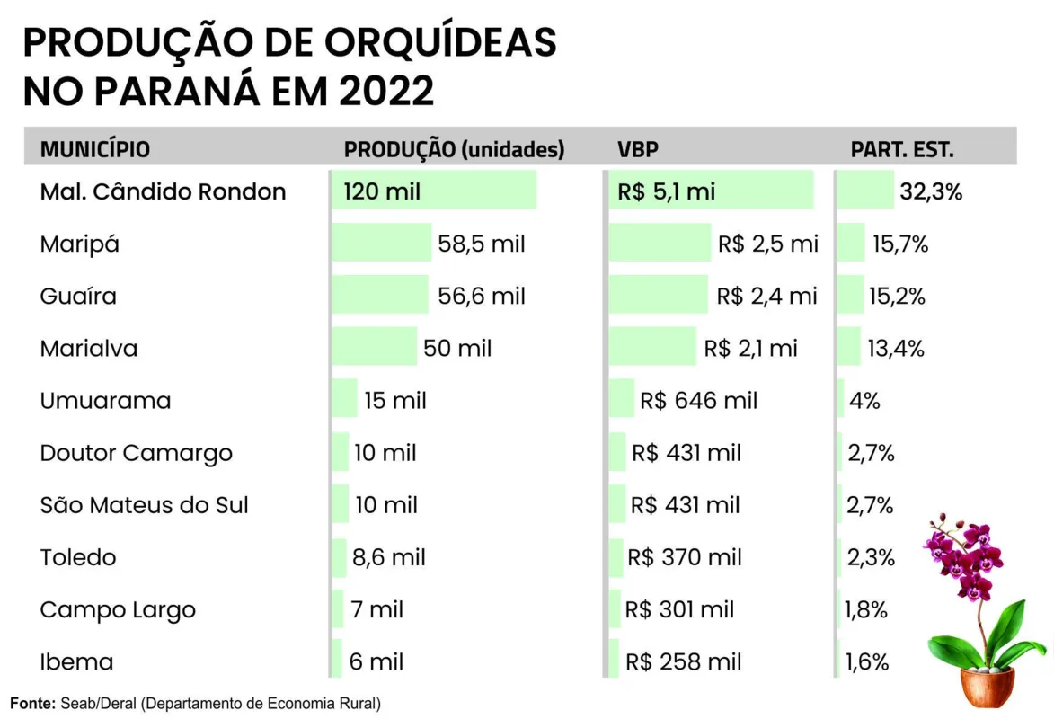 Imagem ilustrativa da imagem Marechal Cândido Rondon lidera produção de orquídeas