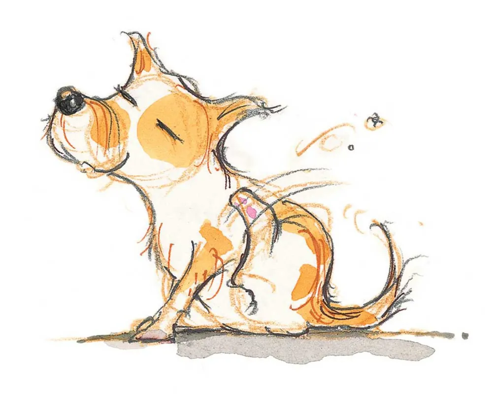 Imagem ilustrativa da imagem O cachorro de três patas