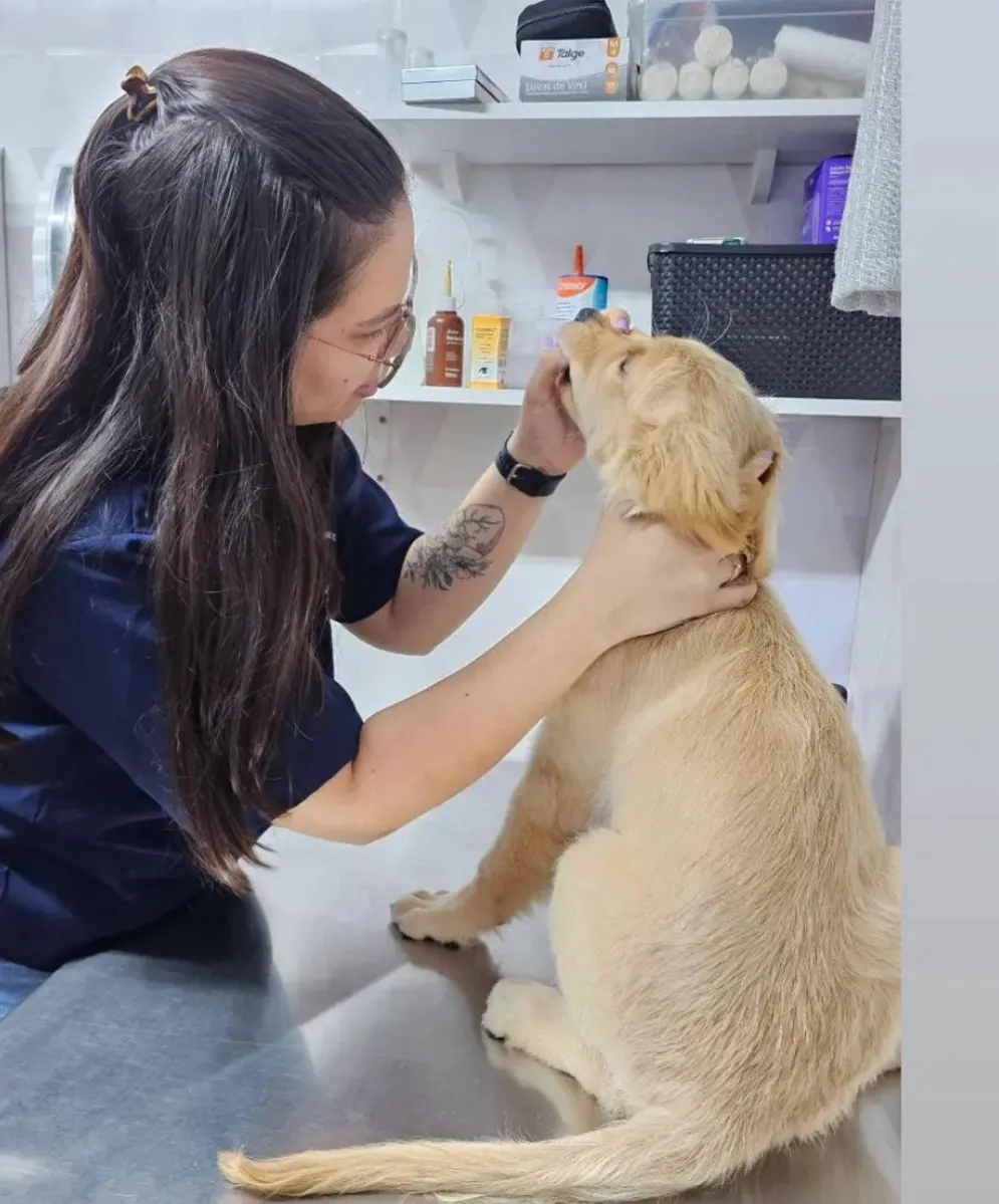Gabriele Lopes em atendimento veterinário na Vet Planet & Cia