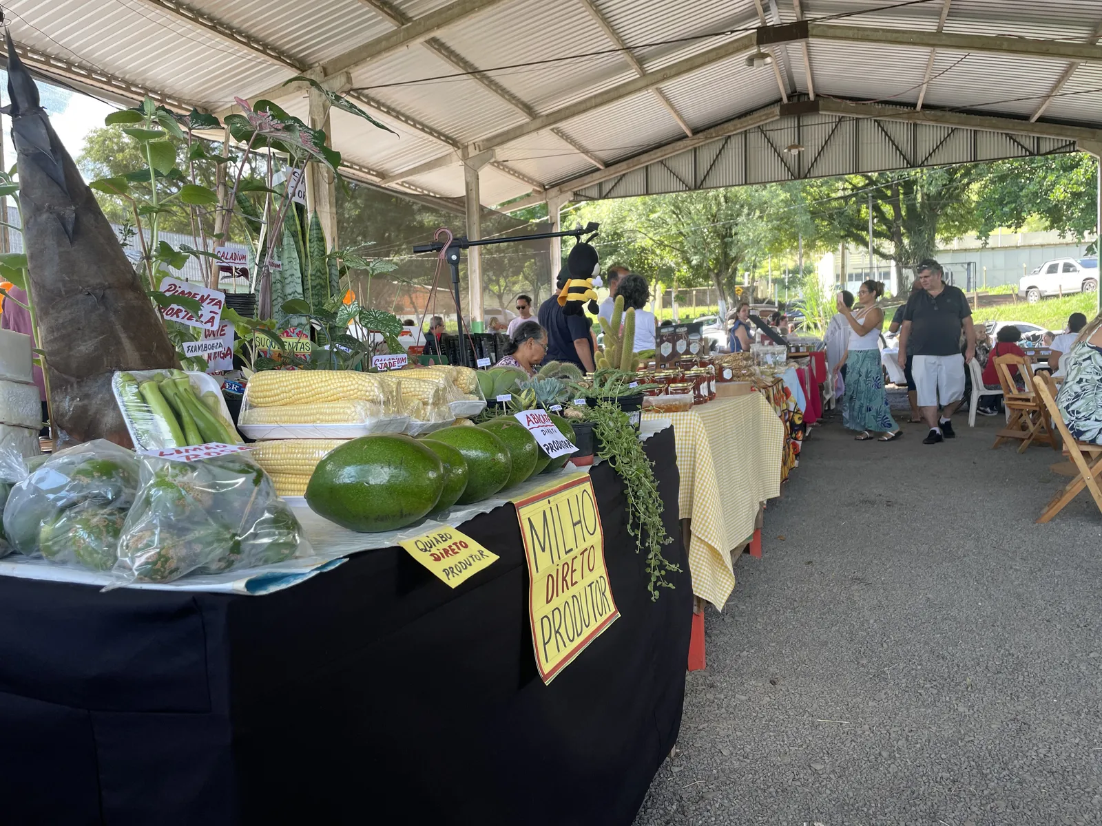 Frutas e verduras orgânicas estão na Parada do Limoeiro que reúne produtores que, às vezes, têm dificuldades para participar de outras feiras da cidade