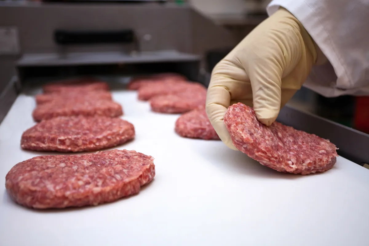 Há centenas de vagas de alimentador de linha de produção em várias regiões do estado