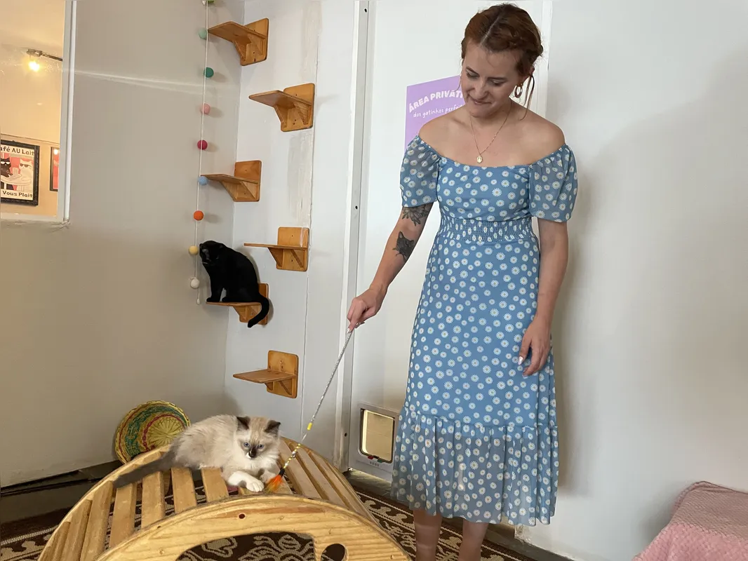 Mariani Vaz Domingues, proprietária do Gato Preto Cat Café: “Trabalhar ajudando vários gatinhos a terem um lar responsável é uma meta de vida”