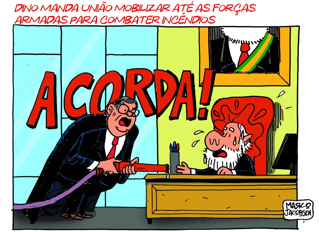 Imagem ilustrativa da imagem Charge 28/08/2024