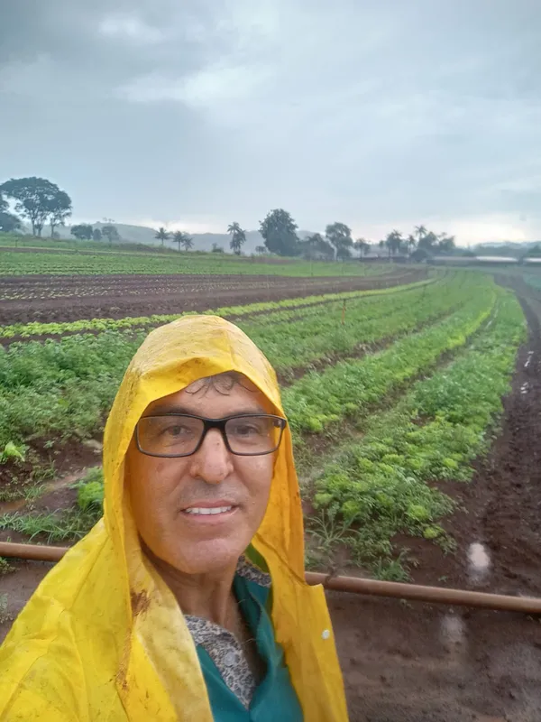 Imagem ilustrativa da imagem Chuvas intensas prejudicam agricultura no Norte do Estado