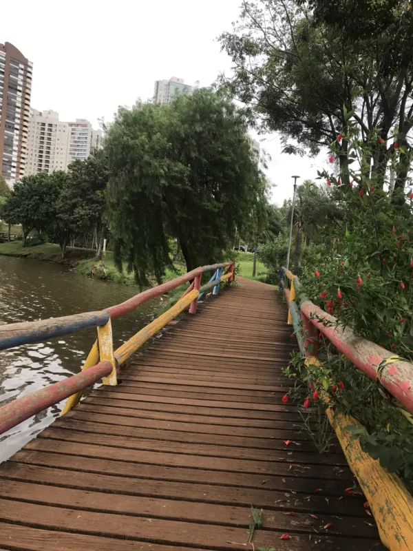 Imagem ilustrativa da imagem Cidade Fala