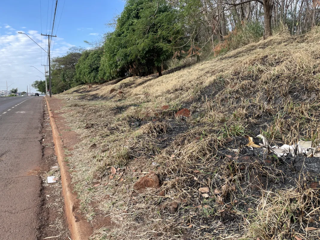 Imagem ilustrativa da imagem Cresce o número de incêndios na área urbana de Londrina