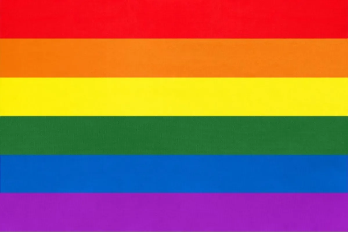Bandeira LGBTQIA+ é utilizada para representar a comunidade, mas existem outras bandeiras, que representam especificamente cada orientação