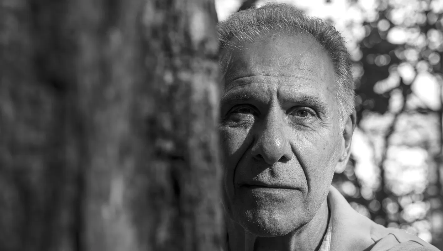 Domingos Pellegrini: "Na mata a peroba era criança, por ser uma das espécies de árvores mais jovens, e também era rainha como a mais alta, por procurar sol com sua copa lá na ponta do tronco reto"