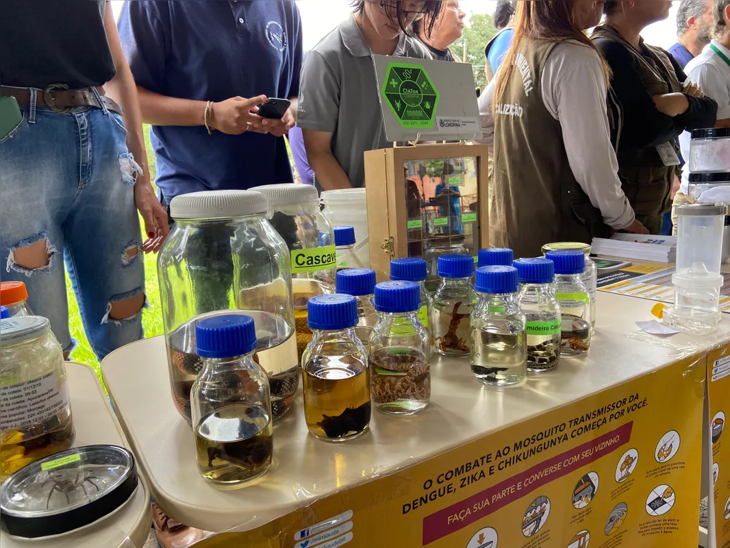 Exposição mostrou criadouros do Aedes aegypti e falou de cuidados com animais peçonhentos, como escorpiões, aranhas e cobras