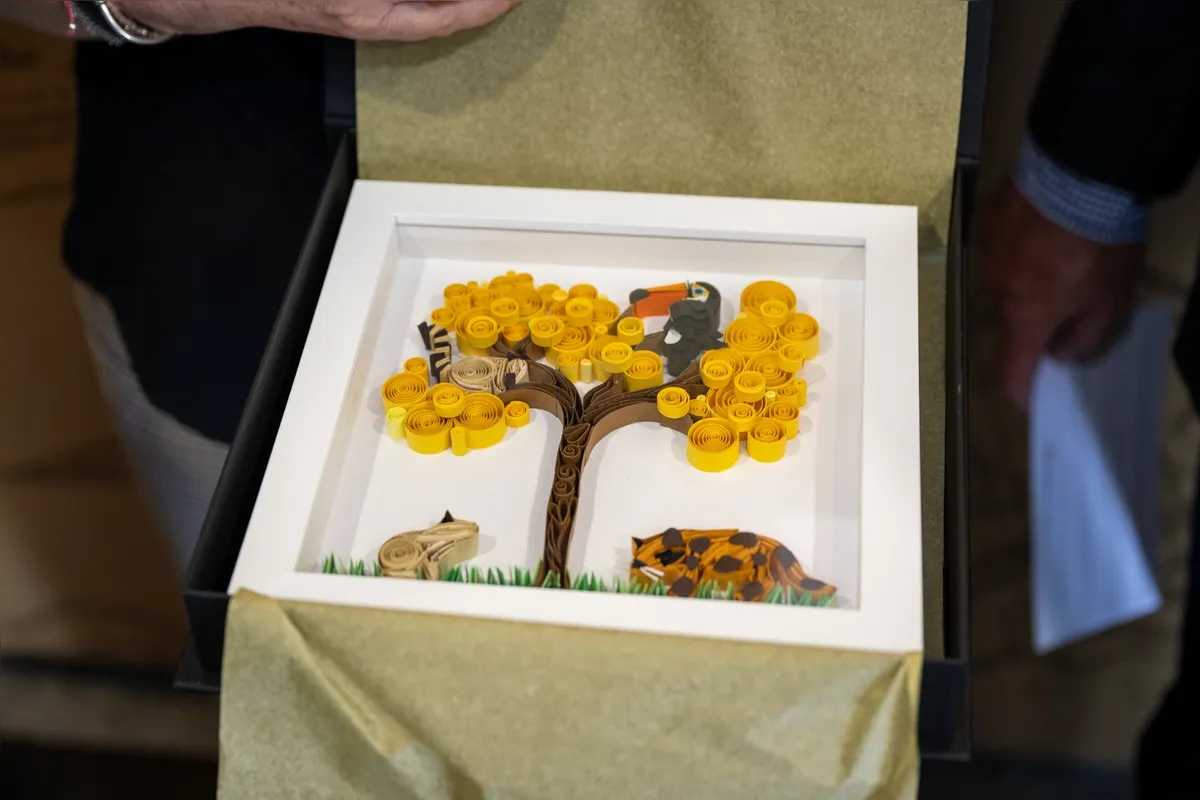 Imagem ilustrativa da imagem Embaixadora se emociona ao plantar árvore no Bosque da Itaipu