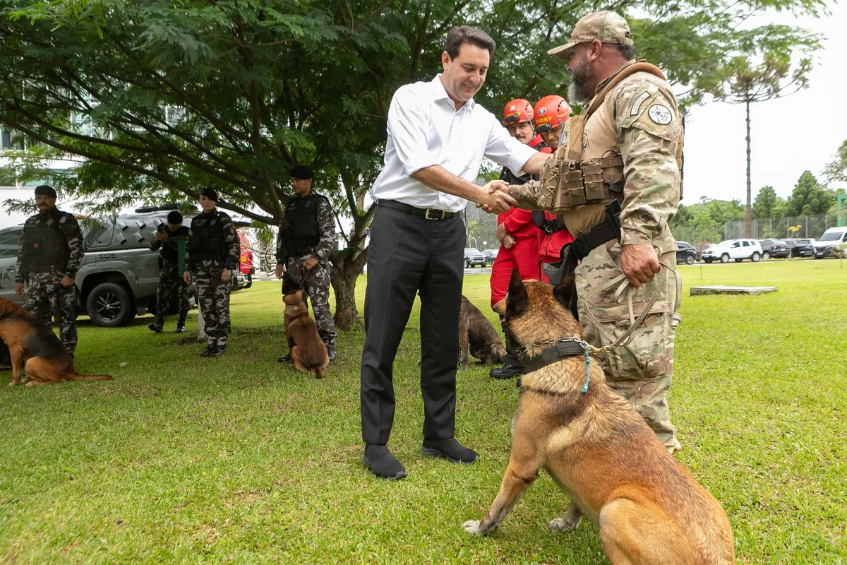 Ratinho Junior destacou que a compra dos cães visa reforçar a estrutura das forças de segurança estaduais