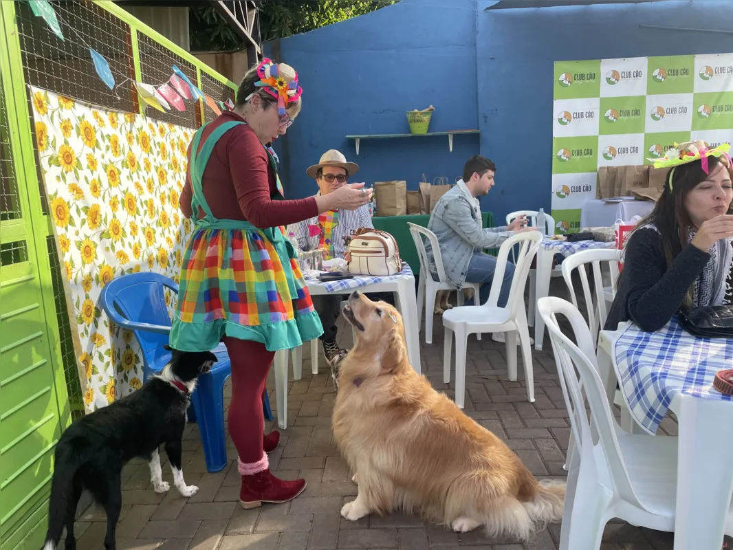 Para os humanos, quitutes típicos. Para os cães, petiscos e pipoca sem sal