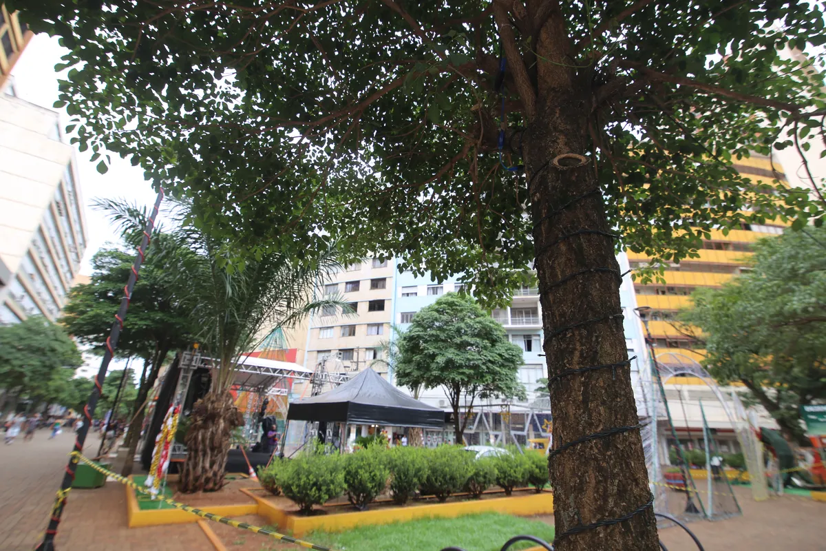 Imagem ilustrativa da imagem Furtos de cabos deixam enfeites natalinos  'apagados' em Londrina