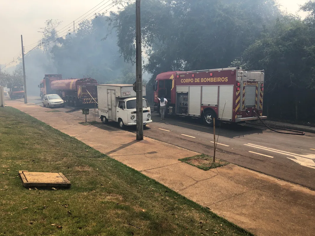 Imagem ilustrativa da imagem Incêndio de grandes proporções toma conta de mata na zona sul