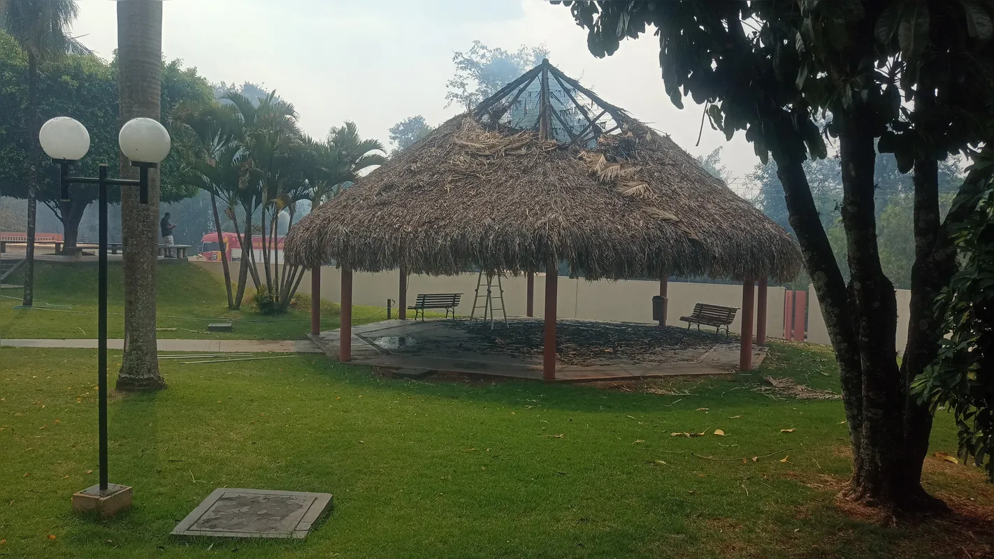 Imagem ilustrativa da imagem Incêndio de grandes proporções toma conta de mata na zona sul