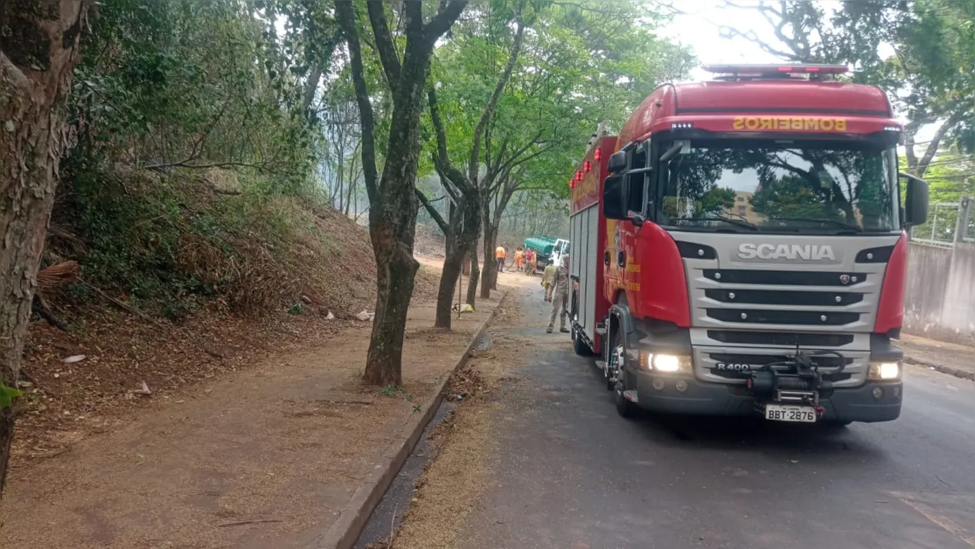 Imagem ilustrativa da imagem Incêndio de grandes proporções toma conta de mata na zona sul