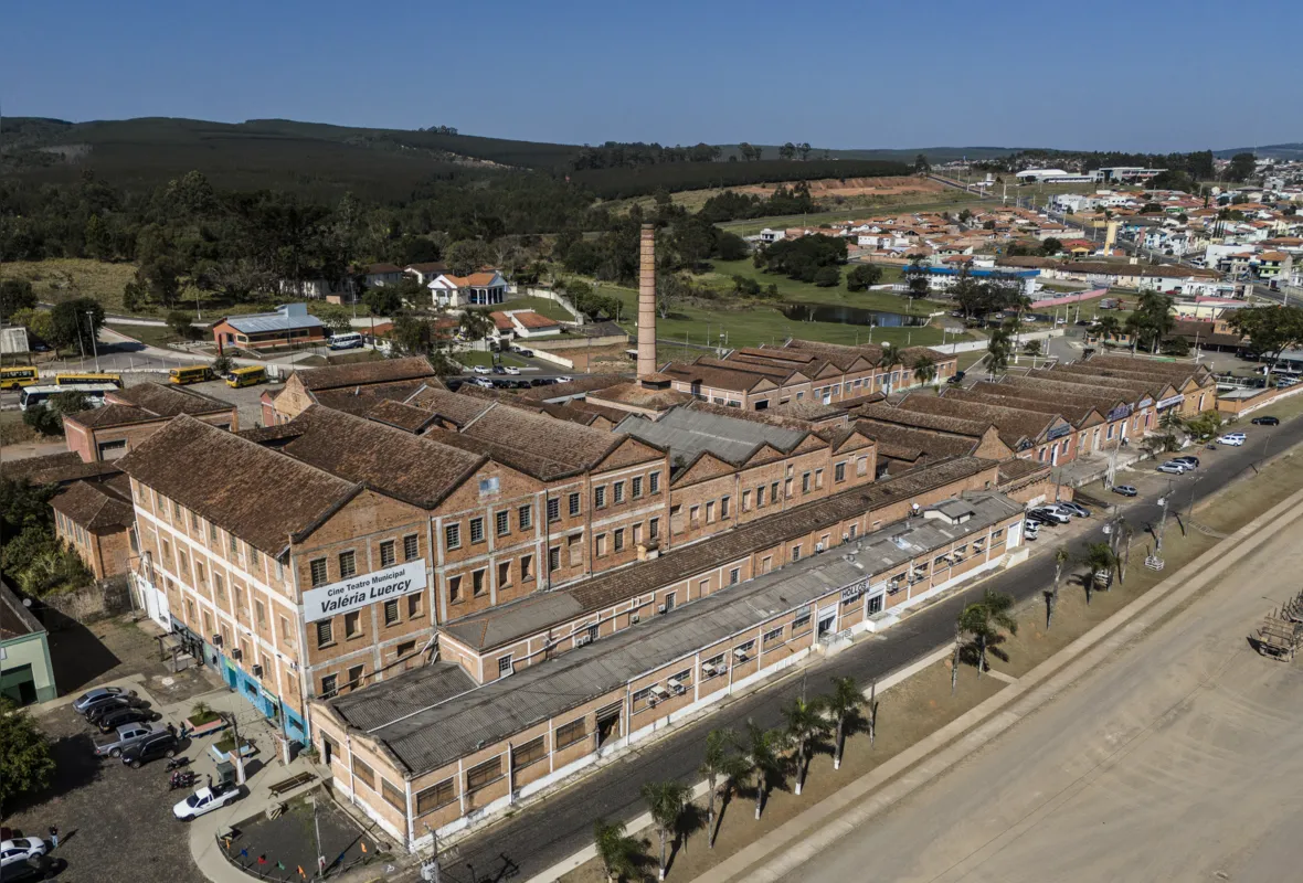 Imagem ilustrativa da imagem Indústria do porco completa 100 anos no Paraná