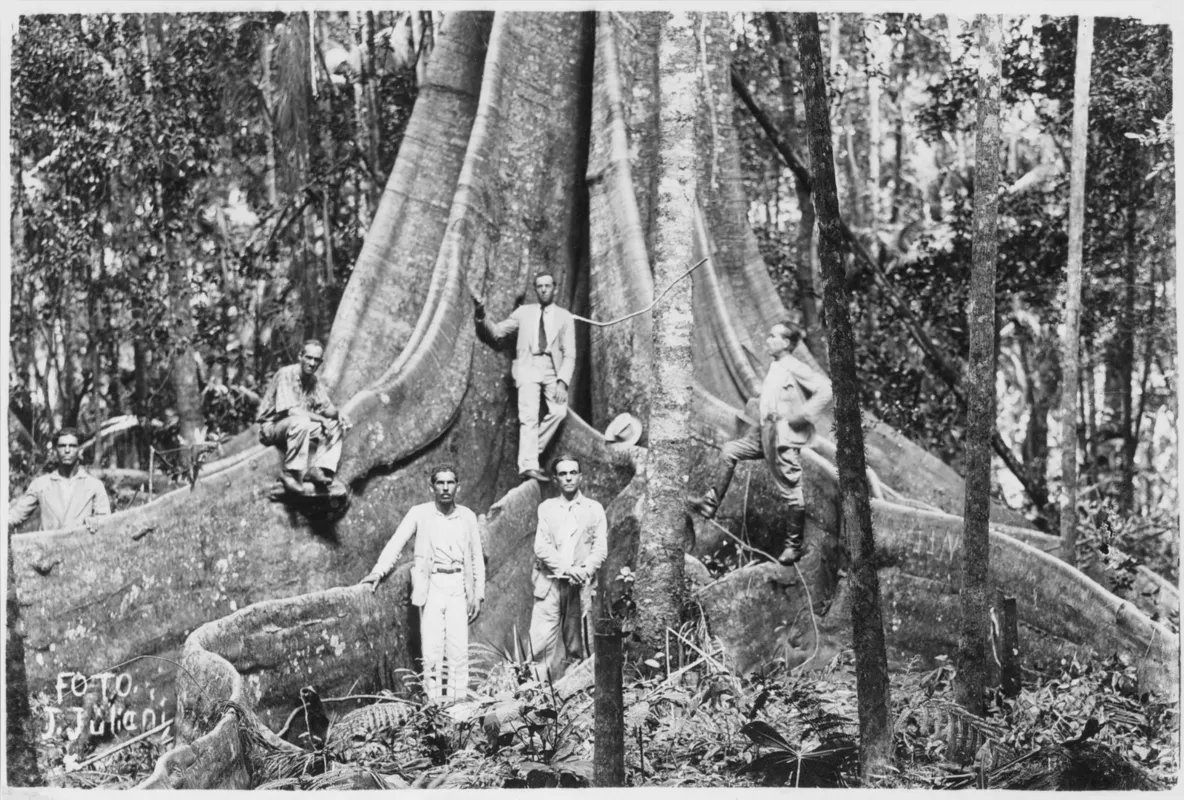 O diretor Felipe Augusto transporta os espcetadores para a década de 30, transformando fotos históricas em animação