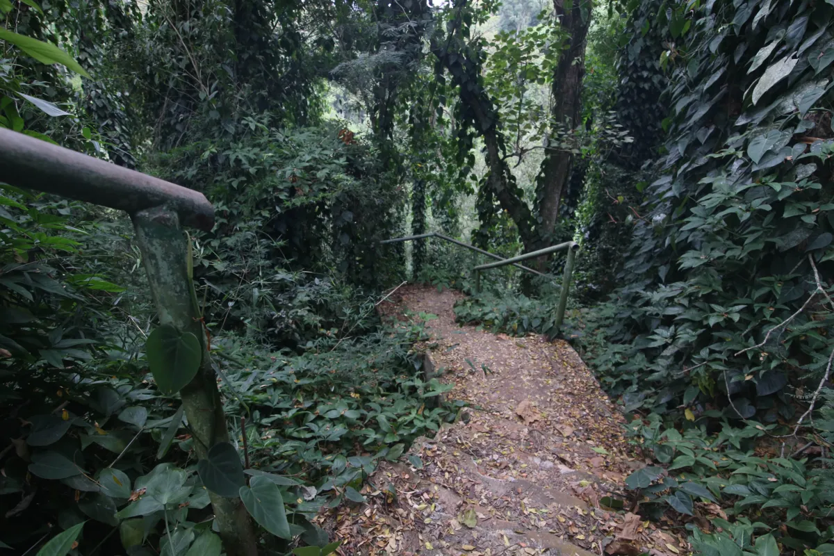 Imagem ilustrativa da imagem Licitação para reforma da área interna do Parque Arthur Thomas é publicada