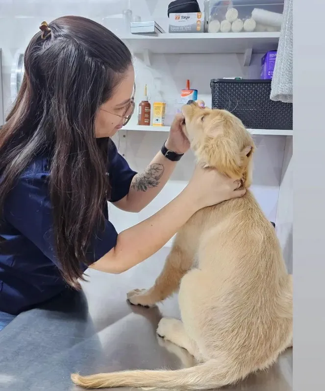 Gabriele Lopes em atendimento veterinário na Vet Planet & Cia
