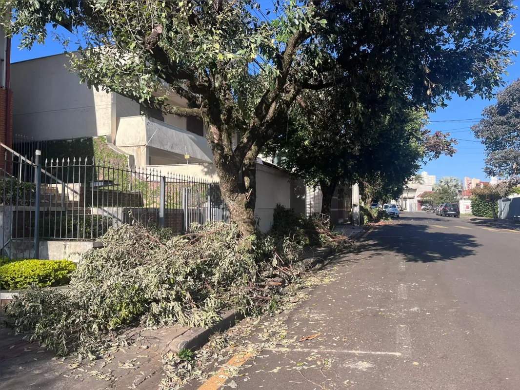 Imagem ilustrativa da imagem Moradores do Jardim Petrópolis denunciam cobrança indevida de poda de árvores