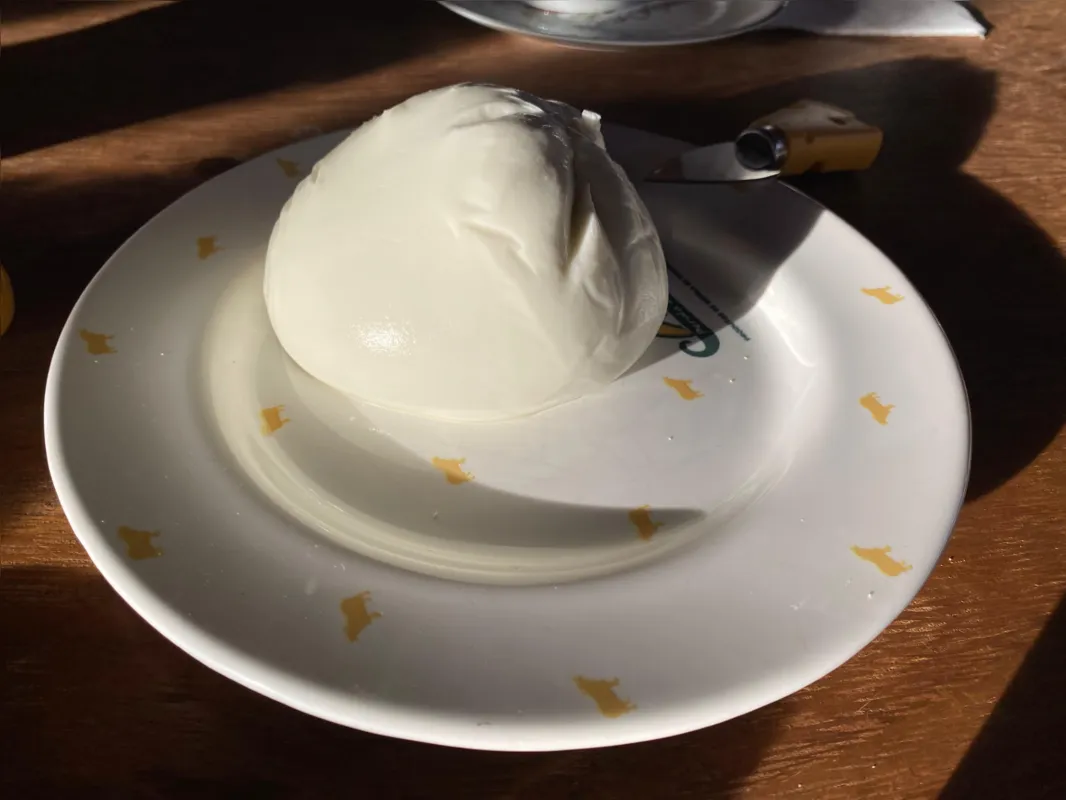 Burrata de leite de búfala: tão macia que derrete na boca