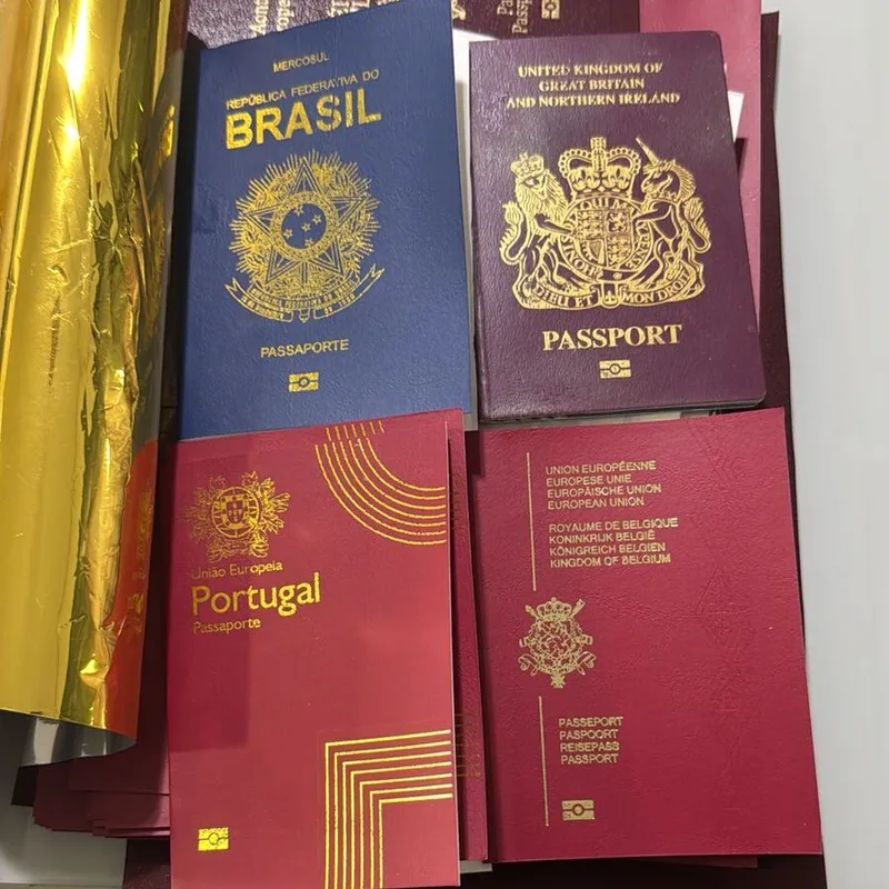 Imagem ilustrativa da imagem PF investiga emissão de passaportes estrangeiros falsos a partir de Londrina